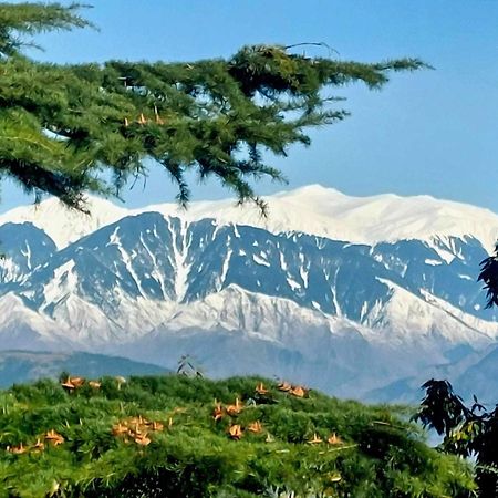 Aditya Homestay Dalhousie Eksteriør bilde