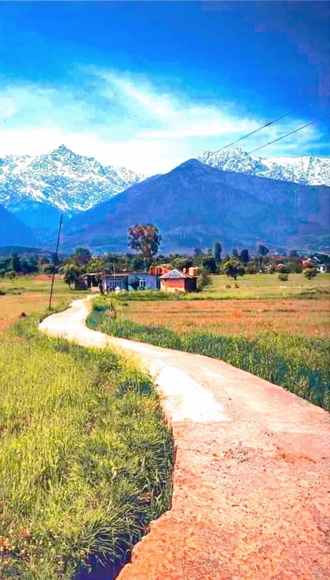 Aditya Homestay Dalhousie Eksteriør bilde